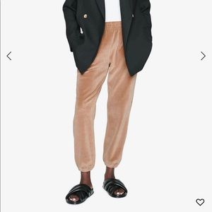 NWT Anine Bing Evan velour taupe jogger size small S